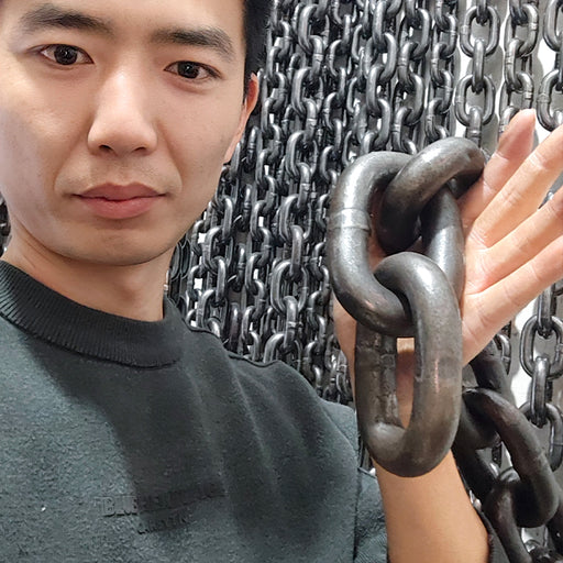 Kirin Whip | Heavyweight Manganese Steel Kung Fu Chain Whip
