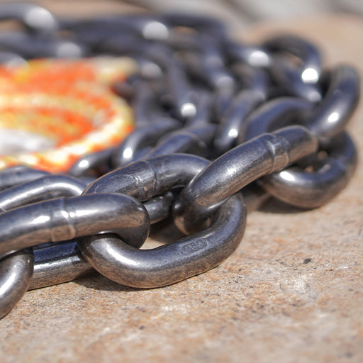 Kirin Whip | Long Pole Stainless Steel Handle Kung Fu Chain Whip