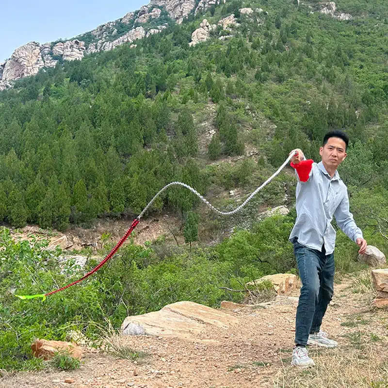 Kirin Whip - Dragon Bone Whip - 图片 8