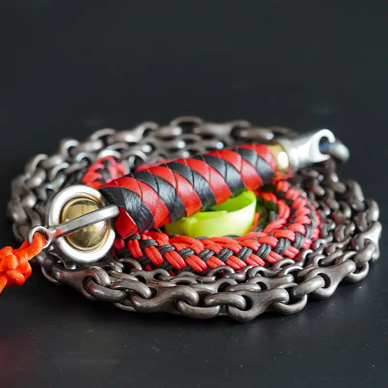 Kirin Whip | Canglong "Azure Dragon" Kung Fu Chain Whip